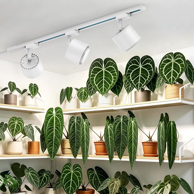 Barrina TR40c Track Grow Light for Indoor Plants, 3 x 40W, 5000K Full Spectrum Ceiling Grow Lamp with Adjustable Beam Angle, with Timer for Growing Plants, 3-Head H-Type Track Light System