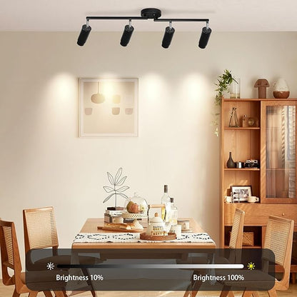 5Color LED Track Lighting Kit 4 Lights Dimmable 48W Track Light,Zoomable15°/24°/36°/45°/60°-2700K/3000K/3500K4000K/5000K,Track Lighting for Accent Task Kitchen,Lumen 4800 (Black)
