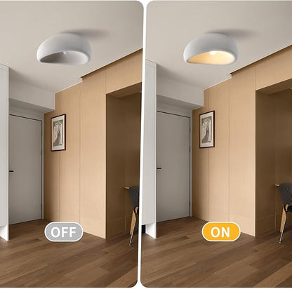 JAYMP Modern Ceiling Light for Dining Room Kitchen Island Hallway Living Room E26 Base Japanese Wabi-Sabi Style Bird Nest Shape Lighting Fixture (Matte White, D45xH24cm)