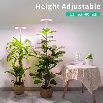 LORDEM Full Spectrum LED Grow Lights, Brightness Adjustable Plant Lamps with Auto On/Off Timer, Height Adjustable Growing Lights for Indoor Plants, Pack of 2