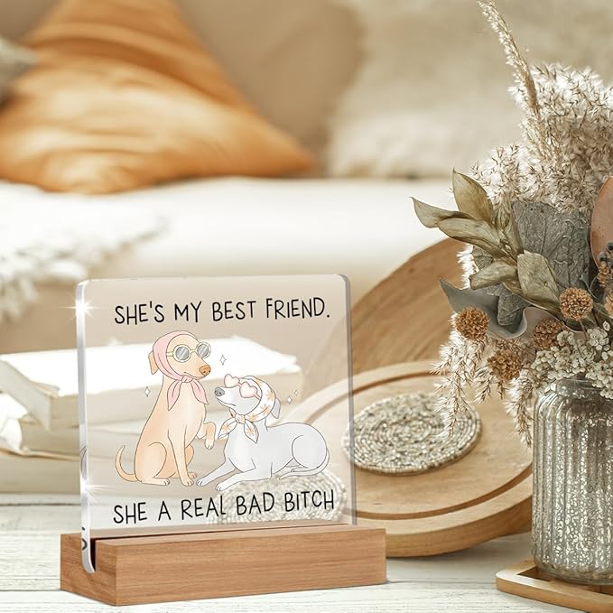 Funny Friendship Gifts for Women, Humor Christmas Birthday Gifts for Best Friend Sisters BFF, Funny Dog Acrylic Plaque Home Office Desk Decor