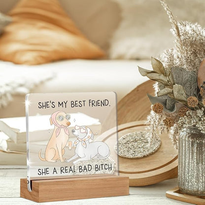 Funny Friendship Gifts for Women, Humor Christmas Birthday Gifts for Best Friend Sisters BFF, Funny Dog Acrylic Plaque Home Office Desk Decor