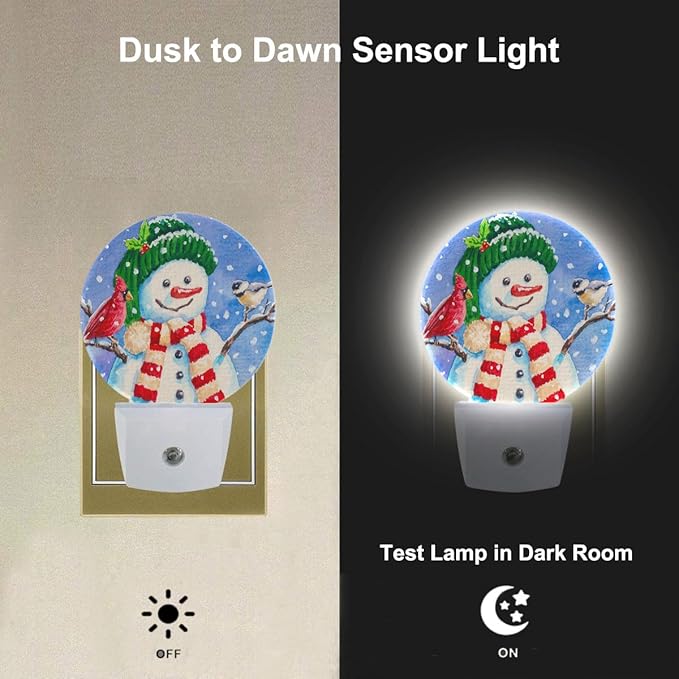 Snowman and Birds Decorative Night Light Winter Snow Snowflakes Christmas Plug-in Nightlight Energy Saving 0.5W LED Lighting for Boys Girls Men Women