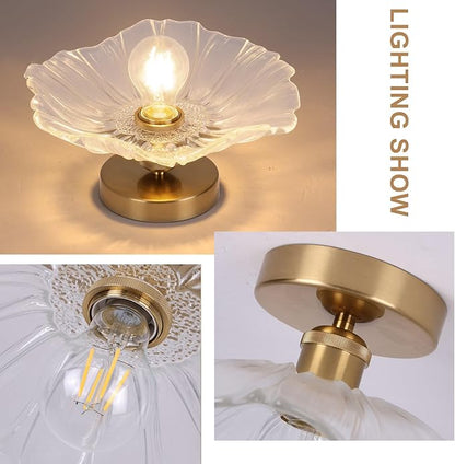 Chandelier, Flush Mount Ceiling Light, Clear Glass Shade Light Fixture, 1 Light Lighting Fixture for Bedroom,Dining Room,Kitchen, Hallway (Clear 4111CL)