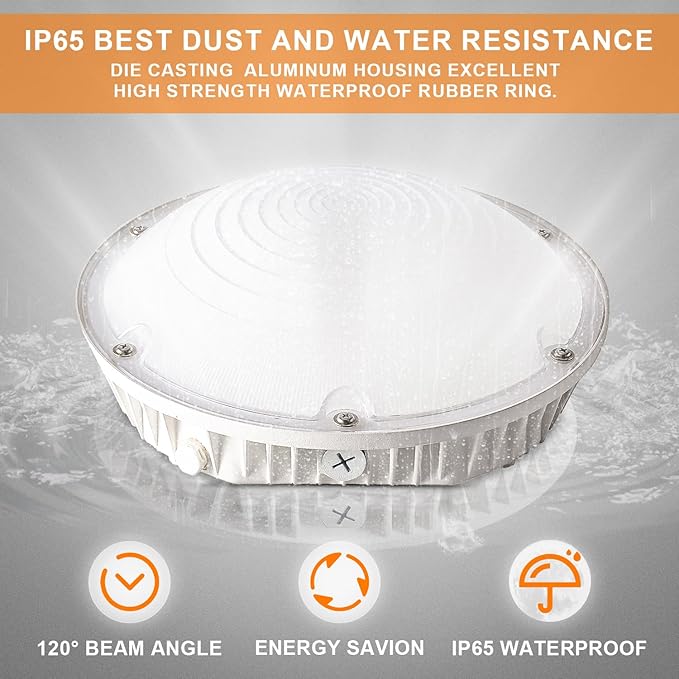 LED Canopy Light, 30W/40W/60W Wattage Selectable, 5000K Gas Station Canopy Lights, IP65 Waterproof LED Parking Garage Light, 100-277V/AC ETL Listed