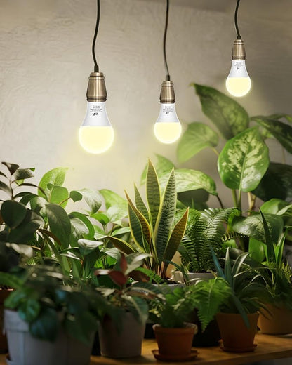 Flaspar Grow Light Bulbs A19 LED, Full Spectrum Plant Light Bulb for Indoor, E26 Base 11W Grow Bulb 100W Equivalent, Plant Lights for Indoor Growing, Flowers, Greenhouse, Seed Starting, 3 Pack