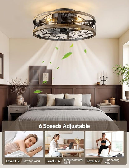 20" Caged Ceiling Fans with Lights and Remote, Flush Mount Low Profile Rustic Small Fandelier, Enclosed Indoor Ceiling Fan for Bedroom Kitchen Farmhouse, 6 Speed, Quiet DC Motor, Timer, Black Gold