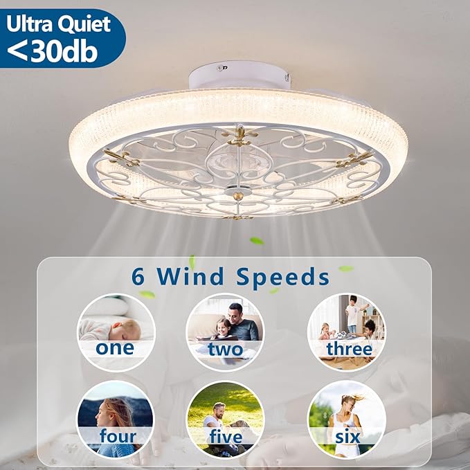 20" White Caged Ceiling Fan with Lights Remote Control with Crystal Sand Lampshade, Rustic Industrial Ceiling Fan with Light for Kitchen Bedroom Living Room