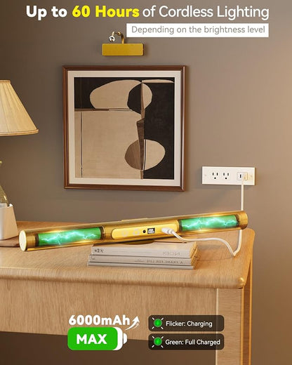 Skairipa Picture Light for Wall, 6000mAh Rechargeable Wireless Wall Lights, 13'' Dimmable Remote Magnetic LED Art Painting Light with 3 Color Temps, Display for Gallery, Living Room (Gold, 2Pack)