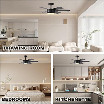 SHOWDI Ceiling Fan with Lights and Remote, 6 Blade App Control Timer Reversible Stepless Brightness and Color Temperature Outdoor Wood Ceiling Fan with Lights (Black, 42 Inch)