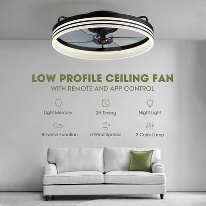 LUDOMIDE Ceiling Fan with Light, Flush Mounted Ceiling Fan with Lights, 6 Wind Speeds Smart Low Profile Fan for Bedroom, Kids Room and Living Room 20" (Black)