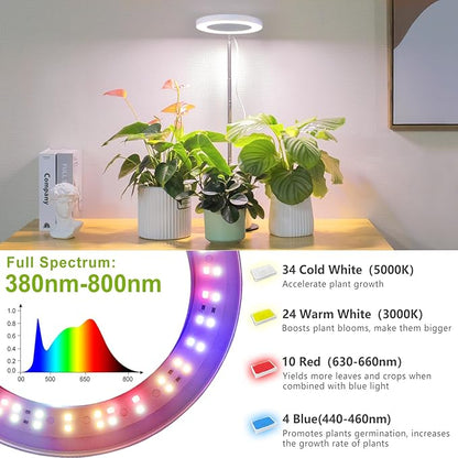 LORDEM Grow Light, LED Plant Light for Indoor Plants Growing, Full Spectrum Desk Growth Lamp with Automatic Timer for 4H/8H/12H, 4 Dimmable Levels, Height Adjustable 9.8"-30.6", 2 Pack