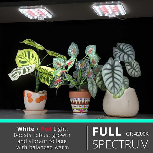 Full Spectrum LED Grow Light for Indoor Plants, 2 Panels 10W with 6/12/16h Timer Dimmable Plant Lights for Flower Veg Plant Growth USB, Netural White, 2-Pack