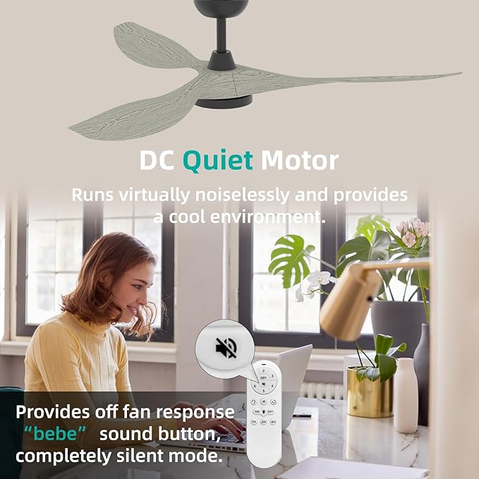 Roomratv Ceiling Fans with Lights and Remote Control,Quiet Noiseless Reversible DC Motor,6 Speeds,Timers, 3 CCT, Indoor Use, Plastic Blades,52 Inch White Oak Modern Ceiling Fan for Living Room