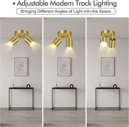 2 Light Track Lighting Fixtures Ceiling, Gold Round Directional Ceiling Spotlight, GU10 Flush Mount Ceiling/Wall Fixture, Adjustable Modern LED Track Lights for Kitchen/Living Room, Bulb Not Included