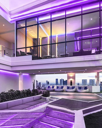 YM E-Bright Purple Led Neon Strip Light Without Power Supply, 5M 16.4Ft 600SMD Silicone Rope Lamp for Signboard Bar Home Building Indoor Outdoor Decoration Waterproof Flexible DC12V