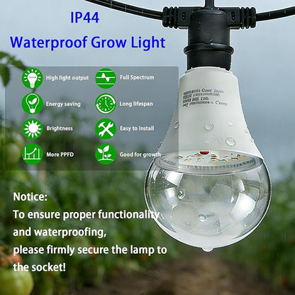 LED Grow Light Bulb A25 Bulb, Full Spectrum Grow Light Bulb, Plant Light Lamp Bulbs E26 Base, 15W Grow Bulb 130W Equivalent, Grow Light for Indoor Plants, Seed Starting (6 Bulbs String (22FT))