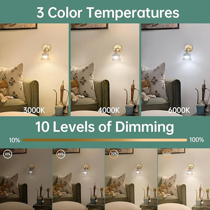 Shenmoyl Vintage Battery Operated Wall Sconces Set of Two, Rechargeable Battery Powered Wall Sconce with Remote Control, Wireless Dimmable LED Light for Bedside Bedroom Kitchen (Transparent Pineapple)