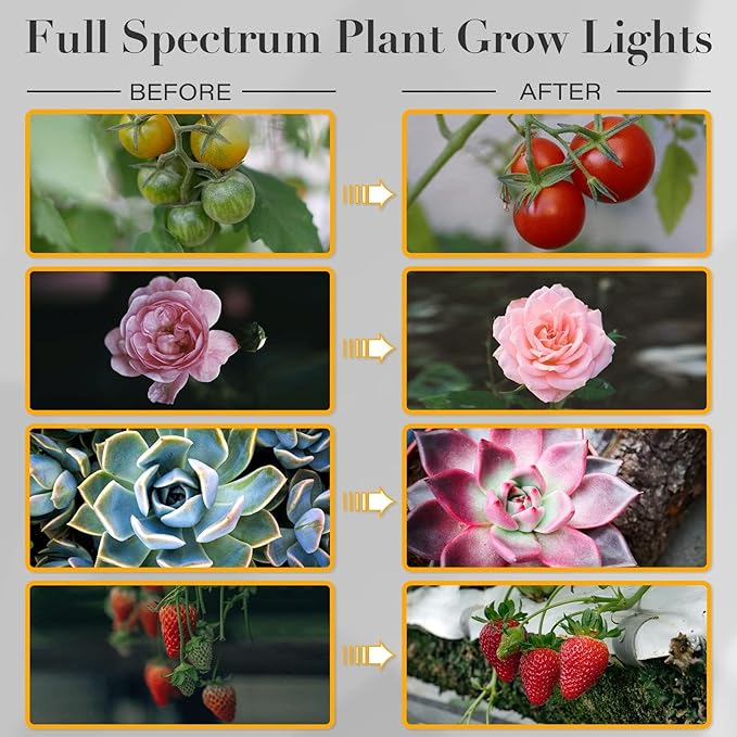 iPower LED Grow Lights for Indoor Plants, Full Spectrum Plant Growing Lamp with White Yellow LEDs, 5-Level Dimmable, Auto On Off with 4/8/12H Timer, 2 Tubes