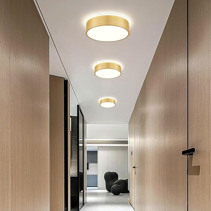 Gold Flush Mount Ceiling Lights, Modern Dimmable 5CCT Close to Lighting Fixture, 2700K-6000K LED Round Ceiling Lamp for Kitchen Hallway Bedroom Laundry Room Entryway Bathroom-11.8in