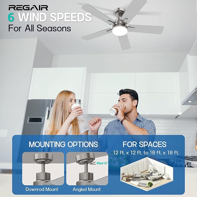 Ceiling Fan with Light 42-Inch, Remote Control Reversible DC Motors, 3CCT Dimmable Timer Noiseless, Nickel Ceiling Fan for Bedroom Living Room, Indoor&Outdoor ETL Listed