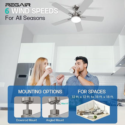 Ceiling Fan with Light 42-Inch, Remote Control Reversible DC Motors, 3CCT Dimmable Timer Noiseless, Nickel Ceiling Fan for Bedroom Living Room, Indoor&Outdoor ETL Listed