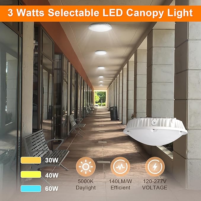 LED Canopy Light, 30W/40W/60W Wattage Selectable, 5000K Gas Station Canopy Lights, IP65 Waterproof LED Parking Garage Light, 100-277V/AC ETL Listed