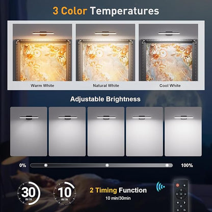 Picture Light, Rechargeable Picture Lights for Wall with Remote, 300 LM, Brightness Dimmable, Art Light for Poster, Artwork, Gallery, Display, Black(1p)