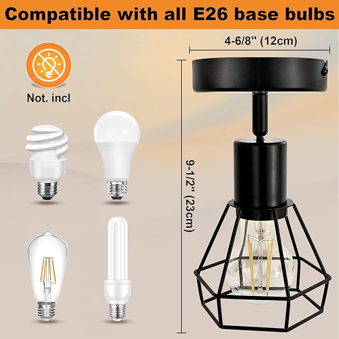 LTBLIGHT 1-Light LED Track Lighting, Black Adjustable Ceiling Light with Metal Wire Cage, Farmhouse Spotlight Fixture for Bedroom Bedside Hallway, E26 Base (Bulbs Not Included)