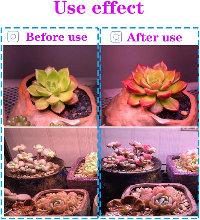 Plant Grow Light Bulb,6W Full Spectrum Grow Lamp,Purple Light,MR16 GU5.3 AC/DC12V 60W Equivalent LED Grow Light Bulb for Idoor Outdoor Plant Growing, DIY Horticulture, Greenhouse,2-Pack