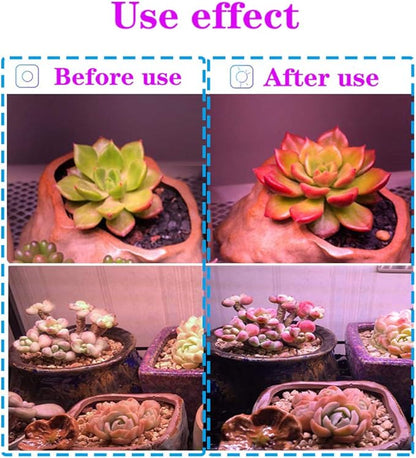 Plant Grow Light Bulb,6W Full Spectrum Grow Lamp,Purple Light,MR16 GU5.3 AC/DC12V 60W Equivalent LED Grow Light Bulb for Idoor Outdoor Plant Growing, DIY Horticulture, Greenhouse,2-Pack