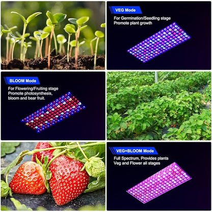 Upgraded BW2000 LED Grow Lights Double Chips Full Spectrum with 10ft Cable for Greenhouse and Indoor Plant Veg and Flower Growing [White]