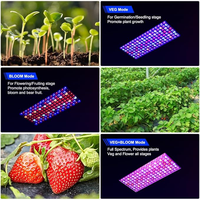 Upgraded BW2000 LED Grow Lights Double Chips Full Spectrum with 10ft Cable for Greenhouse and Indoor Plant Veg and Flower Growing [Black]