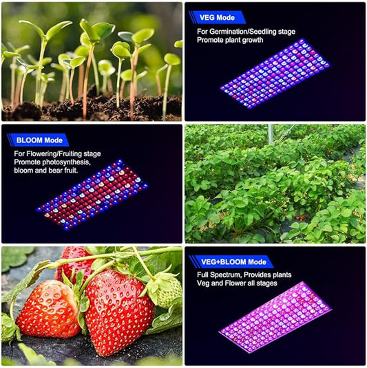 Upgraded BW1000 LED Grow Lights Double Chips Full Spectrum for Greenhouse and Indoor Plant Veg and Flower Growing [White]