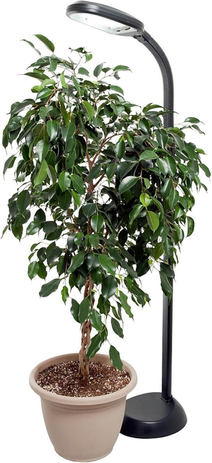 AgroBrite Hydrofarm FLF27DF 27-watt CFL, Floor Plant Light