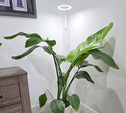 Grow Lights for Indoor Plants, Full Spectrum LED Plant Light with Stand, 67" Adjustable Height, 3/9/12H Timer, 10 Dimmable Levels & 3 Lighting Modes