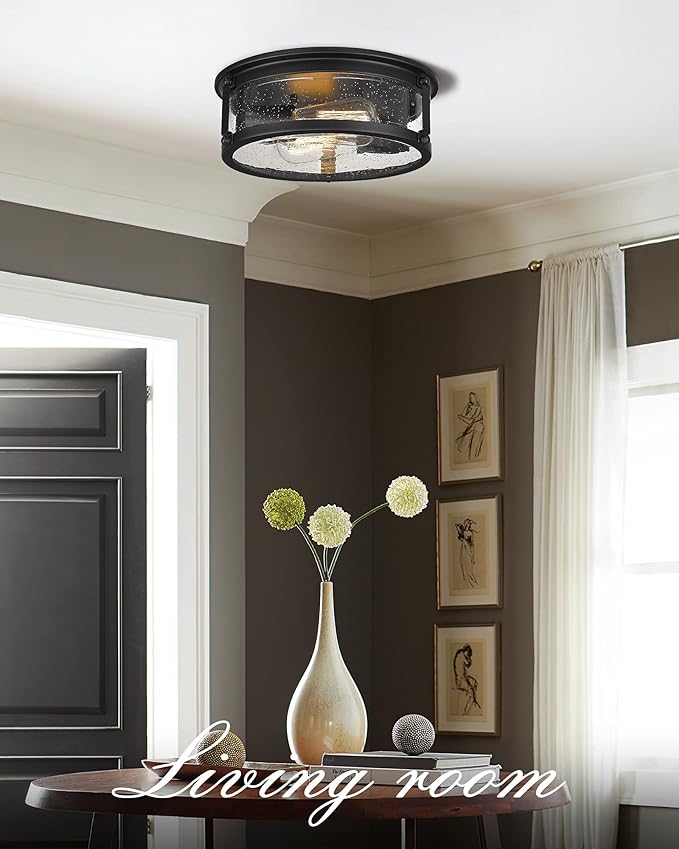 Black Flush Mount Ceiling Light, 2-Light Metal Cage Ceiling Light Fixture, Industrial Farmhouse Flush Mount Light with Seeded Glass Shade for Kitchen, Hallway, Bedroom (12 Inch)