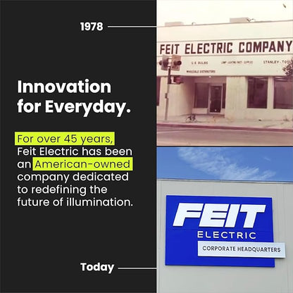 Feit Electric A19 LED Filament Light Bulbs, 40W Equivalent, 3000K Bright White, 450 Lumens, Dimmable, 90+ CRI, 17,000-Hour Life, Vintage Style, A1940CL930CA/FIL/4, 4-Pack