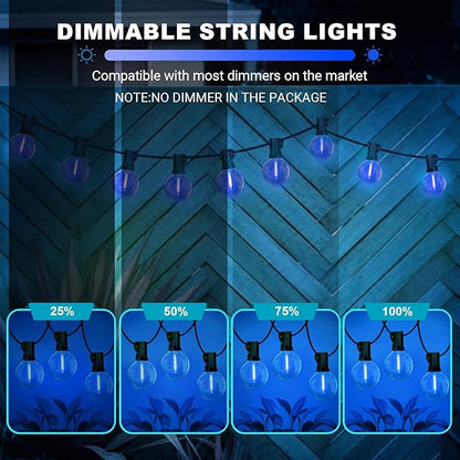 LAMPHOME Blue LED Outdoor String Lights, 26FT Patio Lights with 12+1 Shatterproof Edison Bulbs, UL Waterproof Connectable Outdoor Hanging Lights for Backyard Porch Garden Deck Balcony Decor