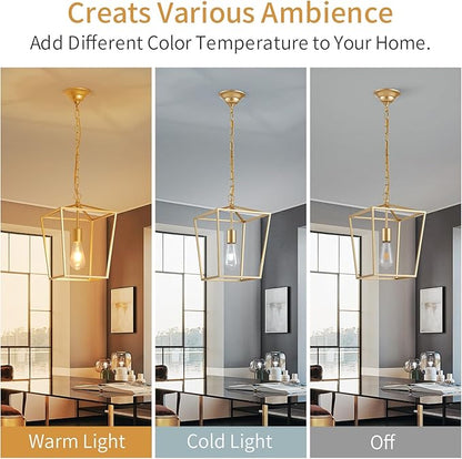 ANJIADENGSHI Lantern Pendant Light Lantern Iron Cage 1 E26 Bulbs Gold Chandelier for Dining Room Kitchen(Bulbs Not Included)