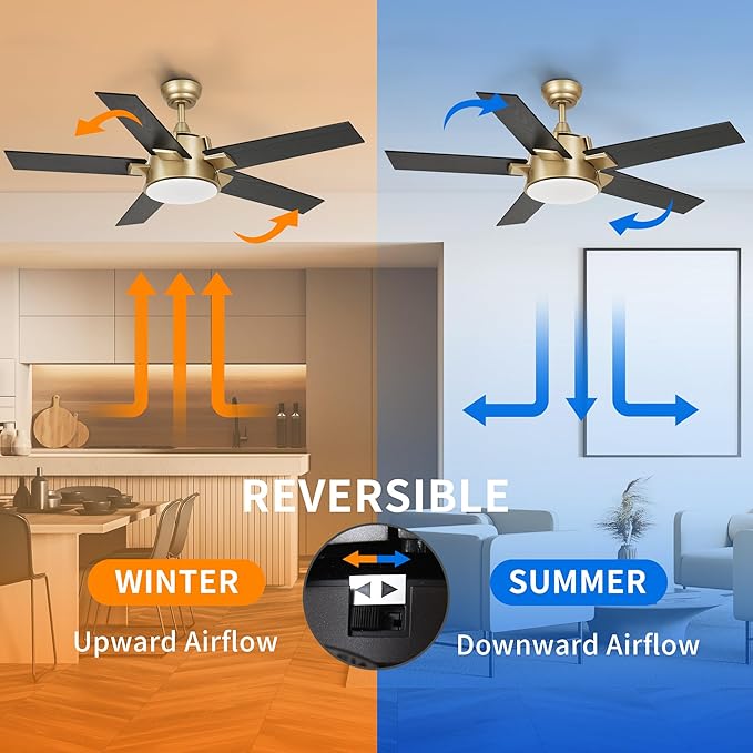 YITAHOME Black Gold Ceiling Fan with Light and Wall Switch Remote, 52 Inch Modern Ceiling Fan, Quiet Reversible Motor, Dimmable Fan with Light for Bedroom Living Room Patio Indoor