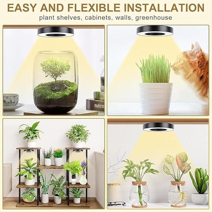 Banax LED Grow Light for Indoor Plants 144 LEDs, Four-Head Ring Design, 5V/2A 10 Brightness Levels, 3/9/12H Timer, Ideal for Herbs, Succulents & Seedlings（Black）