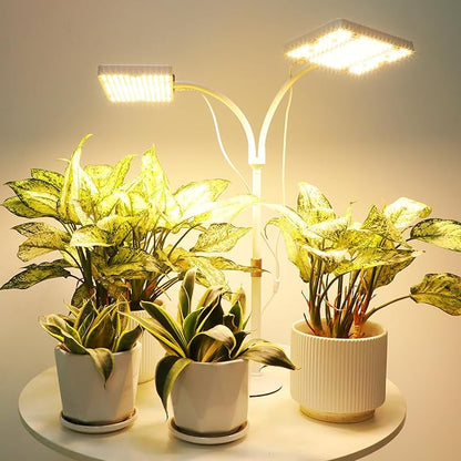 2Head Tabletop Grow Light, Bright and Big Coverage Grow Lights for Seed Starting, Bonsai, Succulent, 4/8/12/16/20H Timer, 50 Watt Power Draw, NO Need Adapter, 16"-24" Height Adjustable