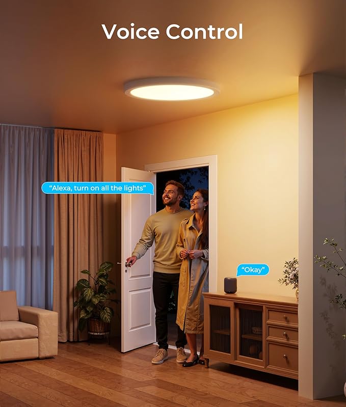DeckTok 12 Inch Smart Ceiling Light, 2400LM RGBCW LED Flush Mount Ceiling Light Work with App & Voice Control, 2700K-6500K Dimmable LED Ceiling Light Fixture for Living Room Bedroom Game Room, 2 Pack