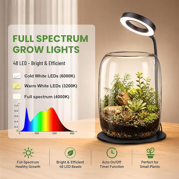 7X Aperture Grow Light for Indoor Plants, Mini Desk Grow Light with Glass Terrarium for Small Plants, Succulents & Moss, Height Adjustable Plant Growing Lamp for Home Office Gift