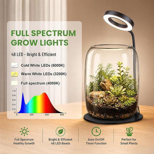 7X Aperture Grow Light for Indoor Plants, Mini Desk Grow Light with Glass Terrarium for Small Plants, Succulents & Moss, Height Adjustable Plant Growing Lamp for Home Office Gift