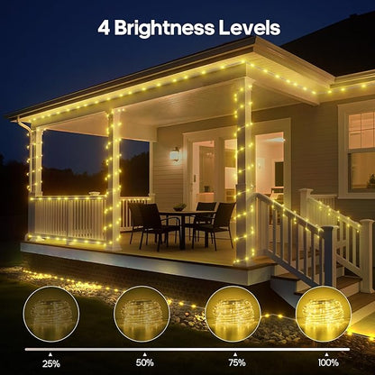 Rope Lights for Outside, 66FT 200 LED Color Changing Rope Lights with Plug & Remote 24 Colors RGB Twinkle Light Indoor, String Light Outdoor Waterproof for Christmas (66FT (Not Connectable) 7mm)