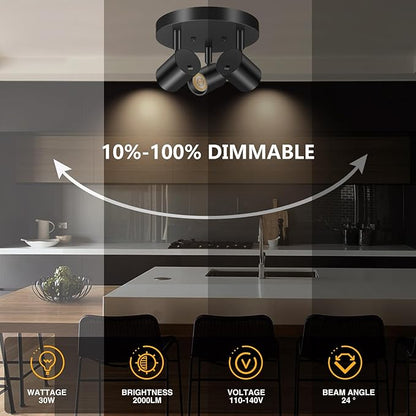 VANoopee 5 Color 3 Light LED Ceiling Spot Light Indoor Flush Mount Directional Adjustable Spotlight Fixtures Close to Ceiling for Kitchen Hallway Modern LED Track Lighting Kit Dimmable 30W Matte Black