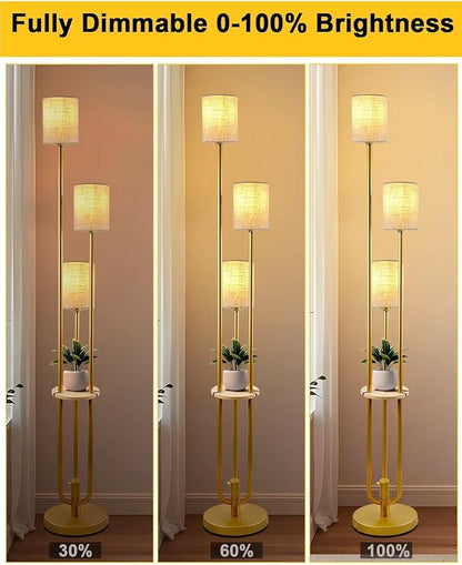 Gold Floor Lamp Dimmable 64IN Tall Standing Lamps with Soft Warm White Eye Care 3000K G9 Bulbs, Mid Century Modern Floor Lamp with 5Lbs Heavy Base for Livng Room Bedroom