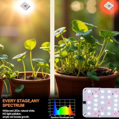 Panel Grow Light for Indoor Plants, 20W Ultra-Thin Full Spectrum LED Grow Light for Shelf & Cabinet, Dimmable with 6/12/16H Timer, Cold White, 1-Pack